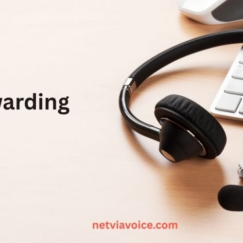 Testing Remote Call Forwarding Before Full Port