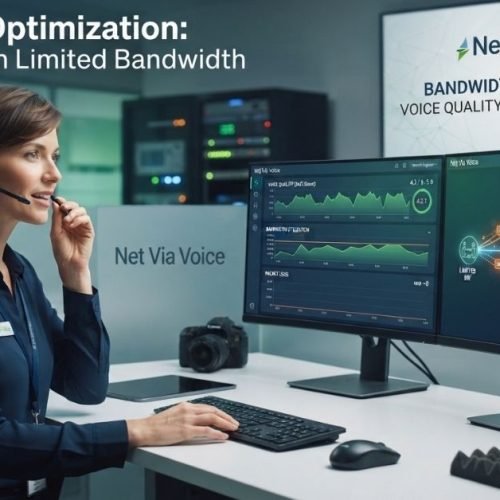 Woman employee is working on Bandwidth Optimization Voice Quality on Limited Bandwidth